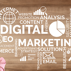 SEO, conteúdo e mídia paga para resultados reais